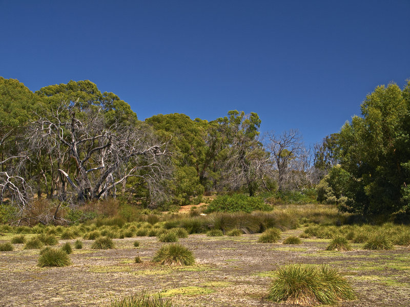 Kangaroo Island